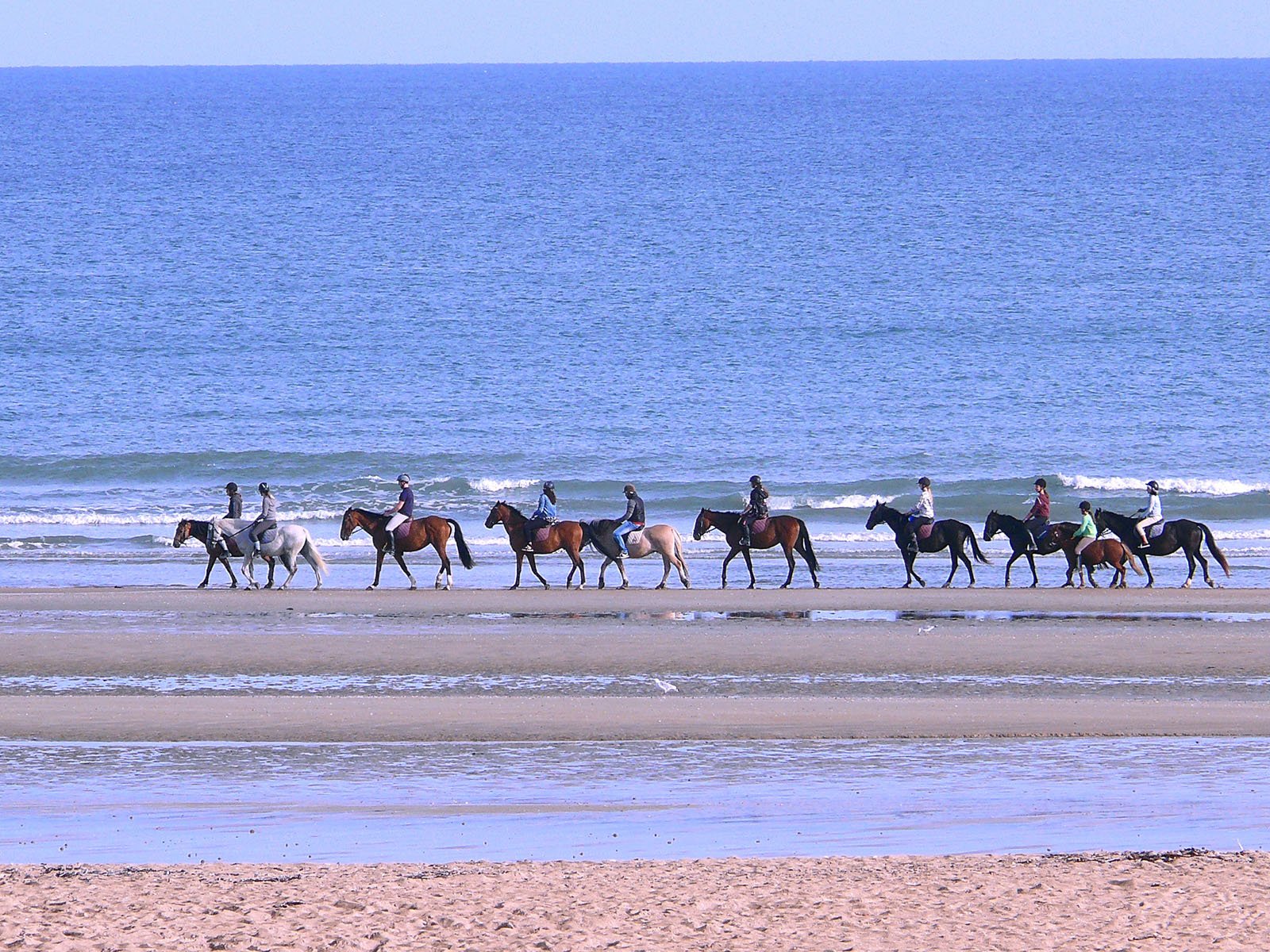 après-midi à cheval pour vos collaborateurs après votre activité incentive dans notre hotel spa en Normandie